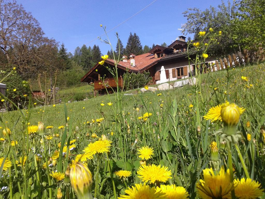 Maso Pin Bed & Breakfast Madonna di Campiglio Exterior photo