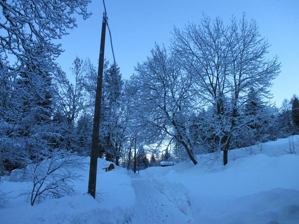 Maso Pin Bed & Breakfast Madonna di Campiglio Exterior photo