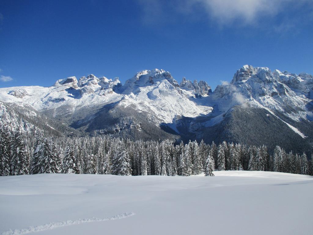 Maso Pin Bed & Breakfast Madonna di Campiglio Exterior photo