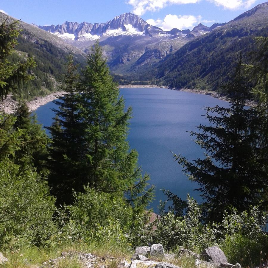 Maso Pin Bed & Breakfast Madonna di Campiglio Exterior photo
